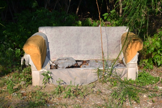 An abandoned sofa adjacent to an overgrown creek area.